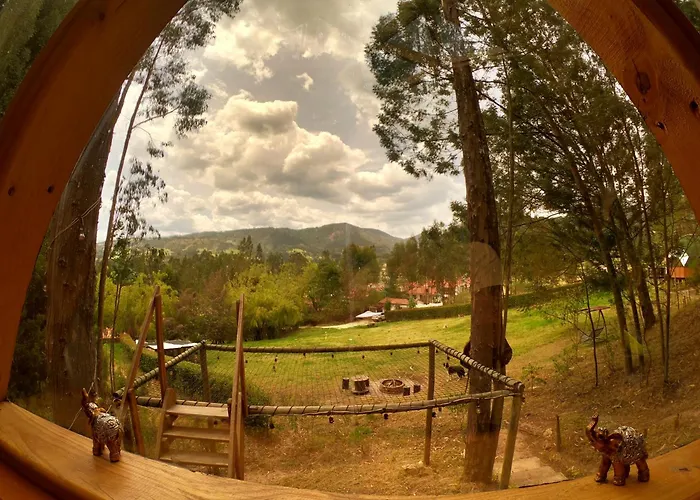 Libelula Glamping Con Jacuzzi