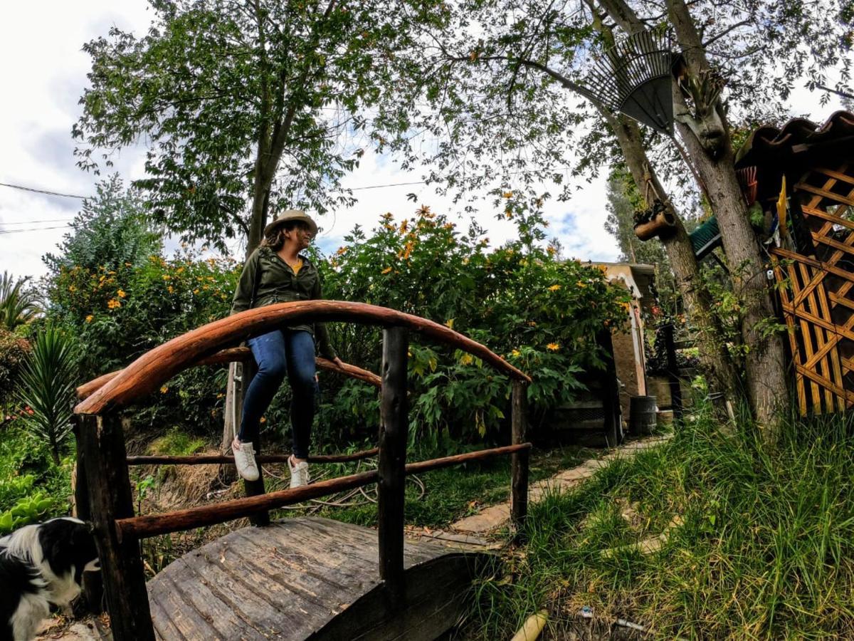 Libelula Glamping Con Jacuzzi *