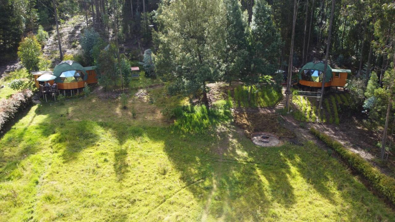 Libelula Glamping Con Jacuzzi *