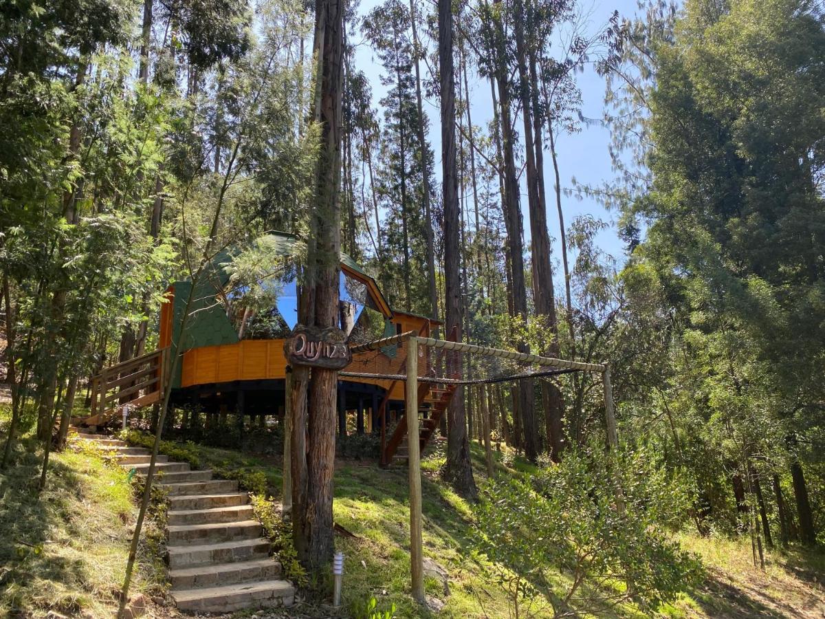Libelula Glamping Con Jacuzzi