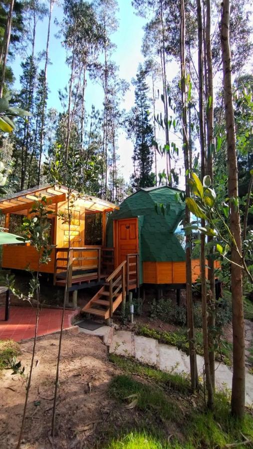 Libelula Glamping Con Jacuzzi Luxury tent Duitama