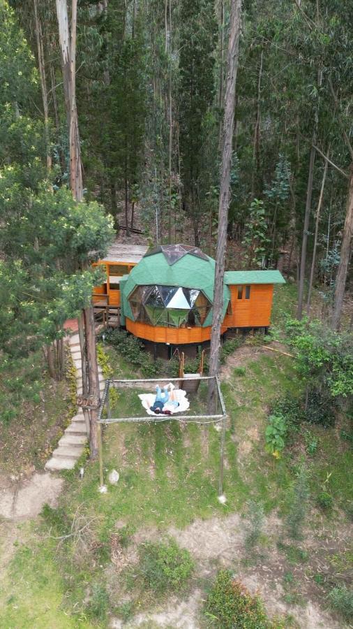 Libelula Glamping Con Jacuzzi Luxury tent *