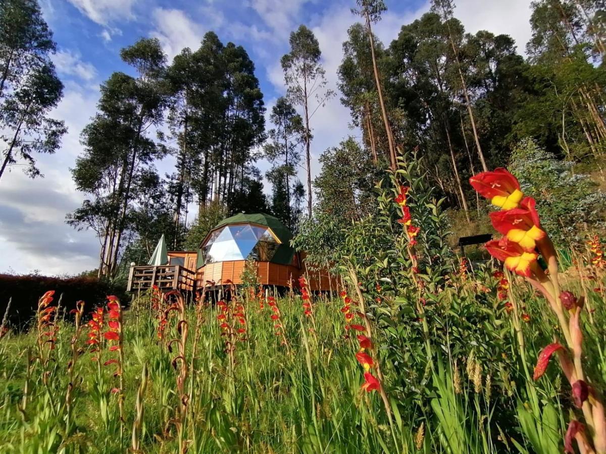Libelula Glamping Con Jacuzzi *